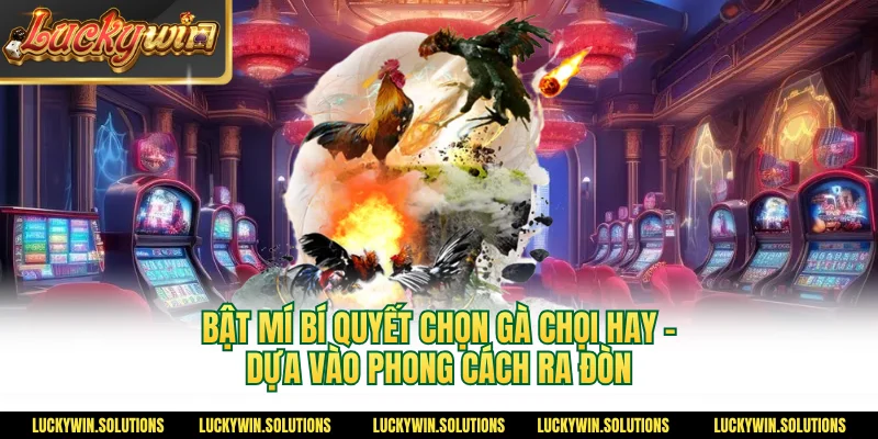 Bật mí bí quyết chọn gà chọi - Dựa vào phong cách ra đòn