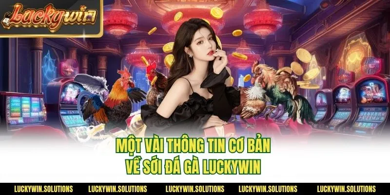 Một vài thông tin cơ bản về sới đá gà Luckywin