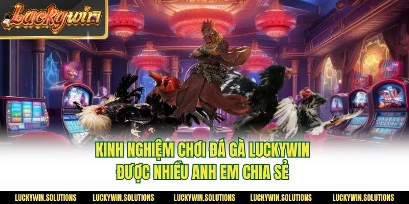 Kinh nghiệm chơi đá gà Luckywin được nhiều anh em chia sẻ